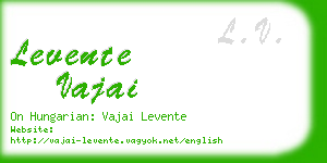 levente vajai business card